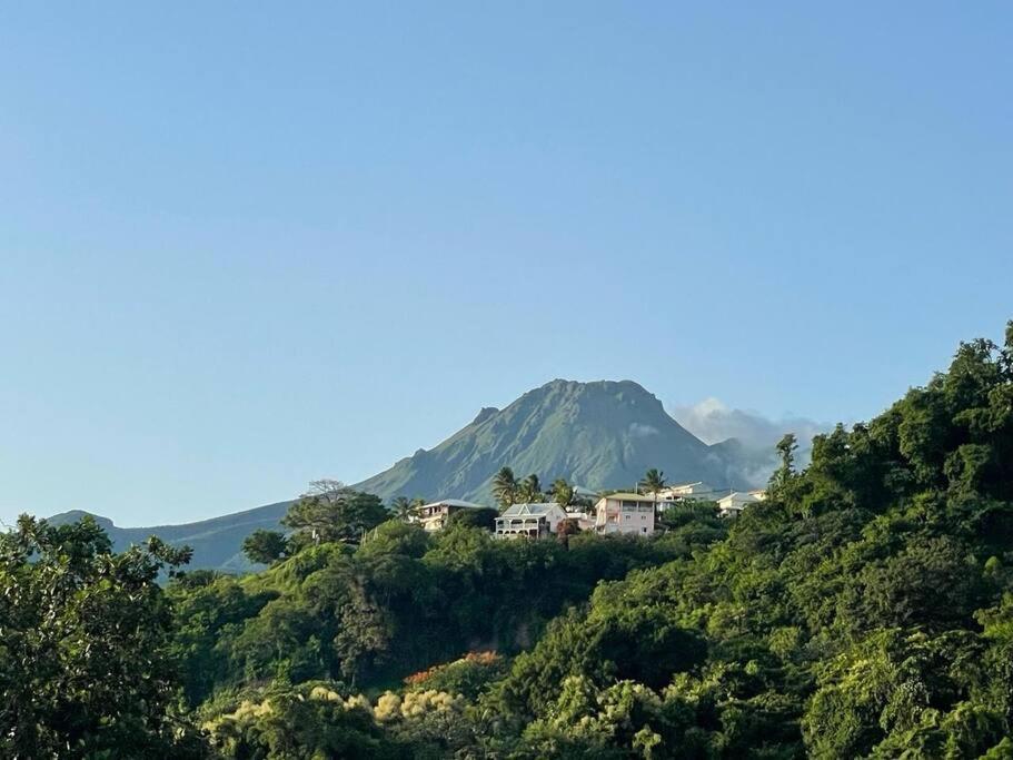 Terrasses De Saint Pierre - Papyrus Apartment Екстериор снимка